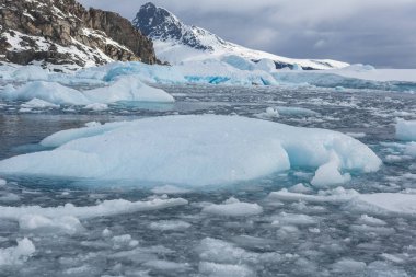 Araştırma gemisi tarafından seyahat. Antarktika'da iklim ve hava değişiklikleri okuyor. Kar ve ICES Antartik adalar.