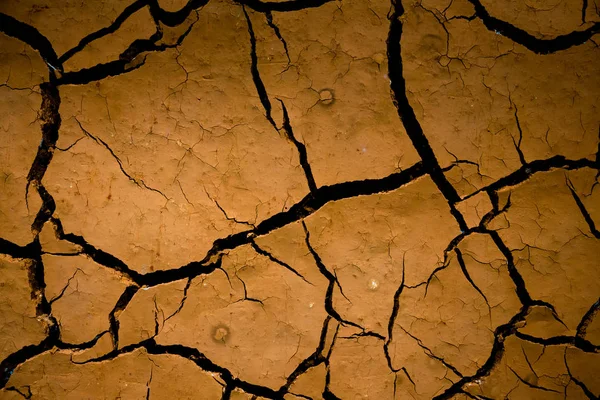 Dry Land Cracked Ground Background — Stock Photo, Image