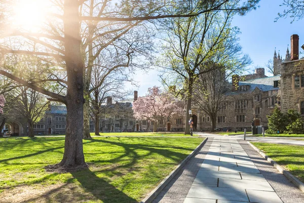 walkway through princeton university, USA.