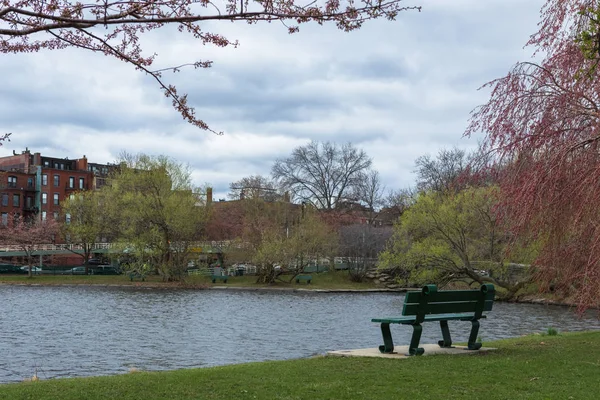 Wiosna Yale University Stany Zjednoczone Ameryki — Zdjęcie stockowe