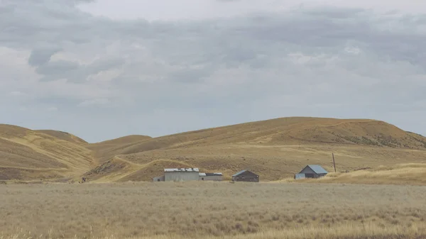 Steptoe ビュート パルースの谷 東のワシントン州からの小麦畑の上を表示します — ストック写真