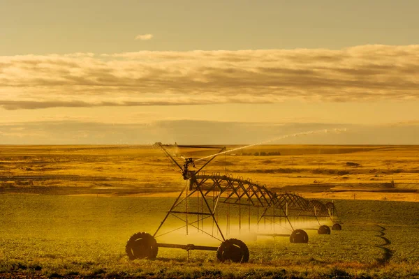 Bevattning Sprinkler Vattning Grödor Bördig Jordbruksmark Usa — Stockfoto