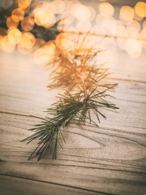 dal üzerinde ahşap masa, retro tarzı stüdyo çekim.