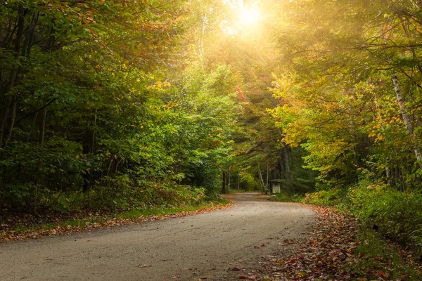 Сільська Дорога Через Кленовий Ліс Восени Канада — стокове фото