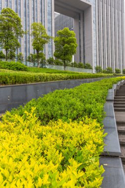 Office alanında en yeşil bahçe shanghai Çin.
