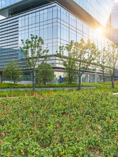 Kontorsbyggnad Och Grönt Kina — Stockfoto