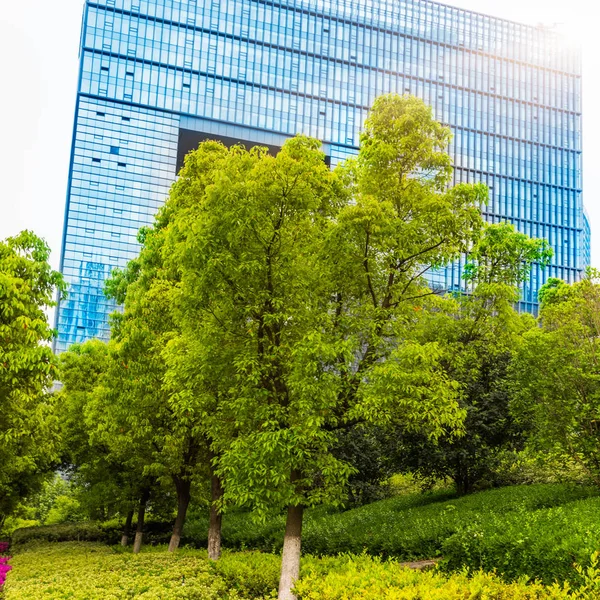 Καταπράσινο Κήπο Στην Περιοχή Office Στο Shanghai Κίνα — Φωτογραφία Αρχείου