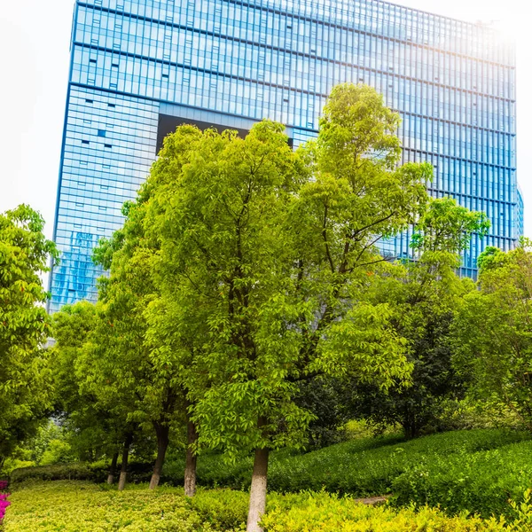 green garden in the Office area at shanghai china.