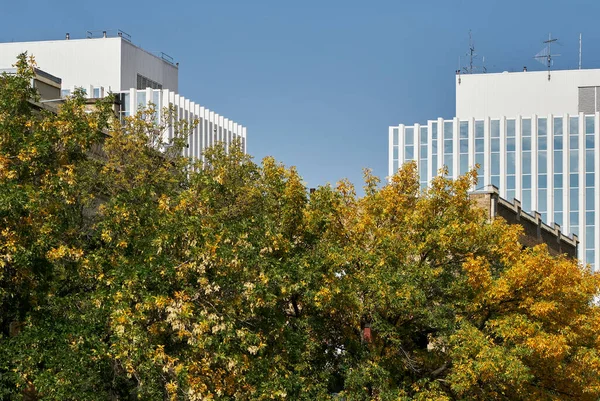 Kanada Saskatoon 'da çekilmiş, yakınlardaki mimariyi yansıtan büyük cam pencereli modern tuğla ofis binasının yan açısı.