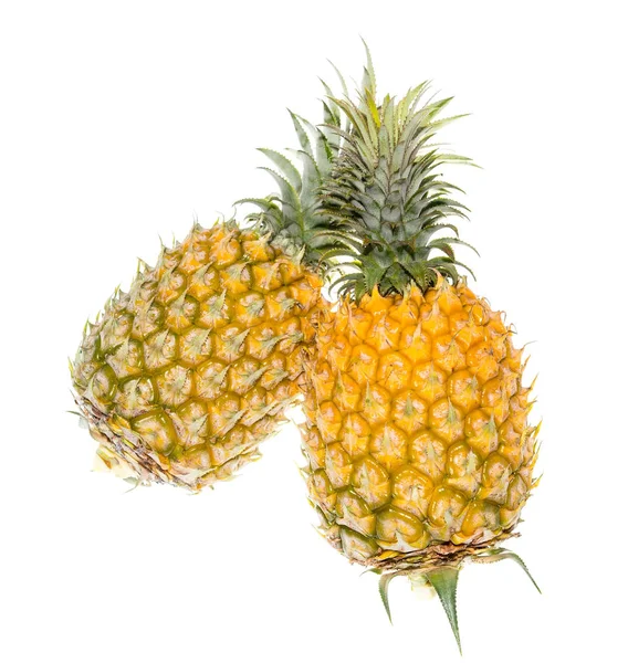 Pineapple Tropical Fruit Isolated White Background — Stock Photo, Image