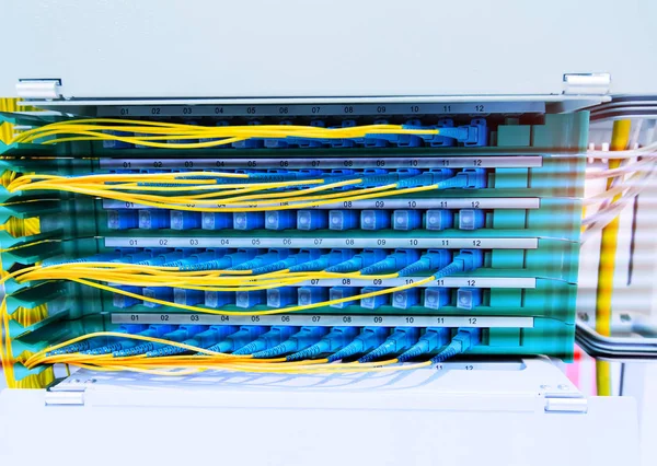 Cable Fibra Óptica Conectarse Comunicación Punto Distribución —  Fotos de Stock