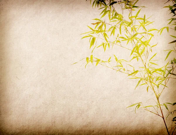 Bamboo Old Grunge Paper Texture Background — Stock Photo, Image