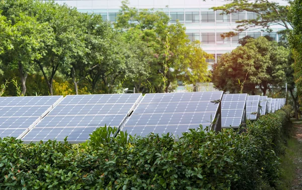 Ecological Energy Renewable Solar Panel Plant Urban Landscape Landmarks — Stock Photo, Image