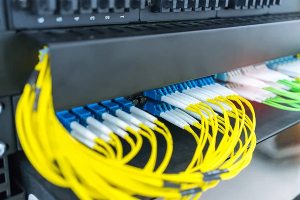 Optikai Telekommunikációs Berendezések Patchkordszálak Hálózati Infrastruktúrán Belül — Stock Fotó