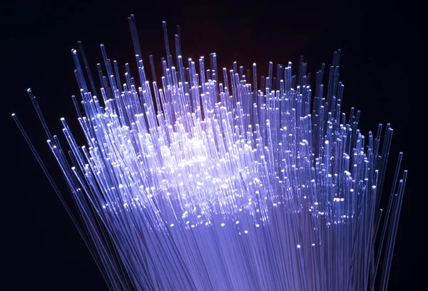 Fiber Optical Network Cable — Stock Photo, Image