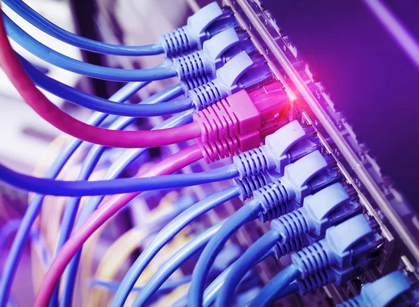 Row Network Cables Connected Switch — Stock Photo, Image