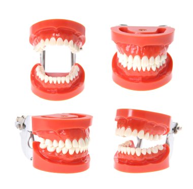 Beyaz üzerine izole edilmiş dişler veya protezler.