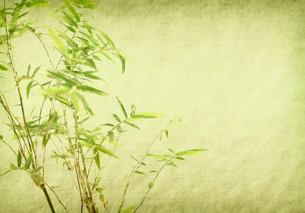 Bamboo Old Grunge Paper Texture Background — Stock Photo, Image