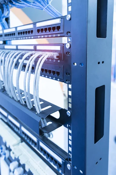 Cables Ethernet Comunicación Del Sistema Conmutación Red —  Fotos de Stock