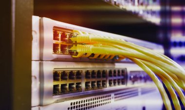 teknoloji bilgisayar ağı, telekomünikasyon Ethernet kabloları bağlı Internet anahtarı.