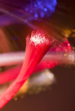 fiber optik ağ kablosu