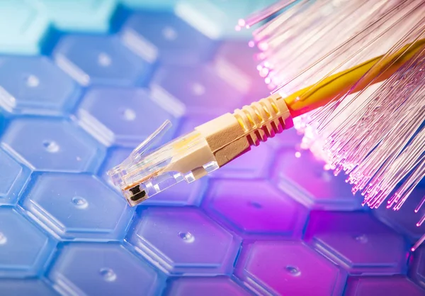 Nätverk Kabel Närbild Med Fiber Optiska Bakgrund — Stockfoto