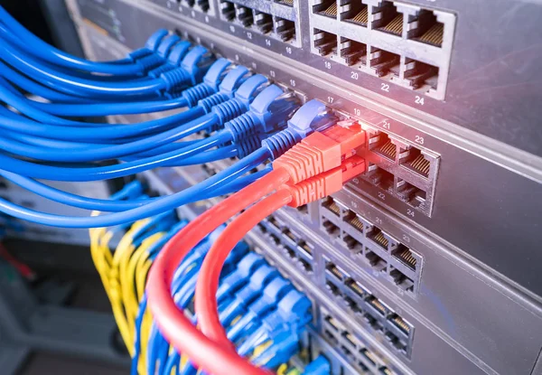 Câble Ethernet Sur Réseau Commutateurs Arrière Plan — Photo