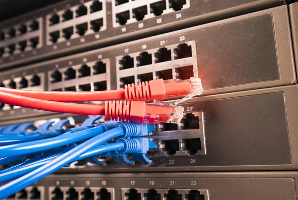 Cabo Ethernet Fundo Switches Rede — Fotografia de Stock