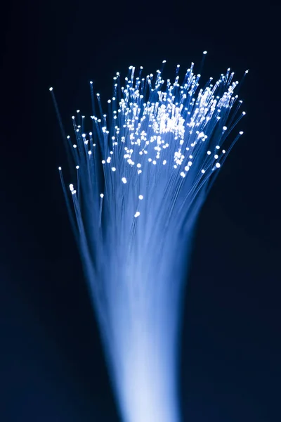 Fiber Optical Network Cable — Stock Photo, Image