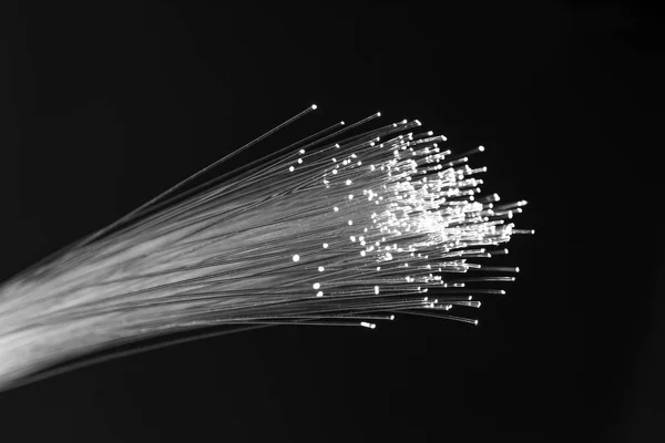 Fiber Optik Kablosu — Stok fotoğraf