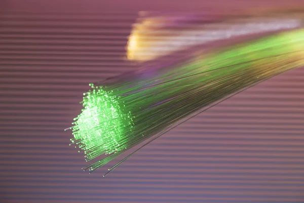 Üvegszálas Optikai Hálózati Kábel — Stock Fotó