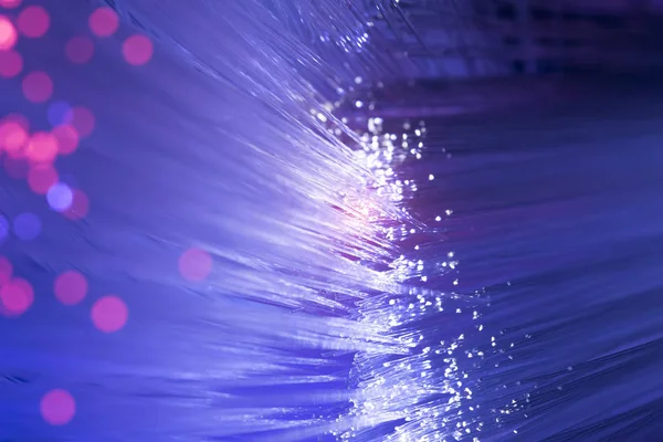 Glasfaser Netzwerkkabel — Stockfoto