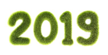 2019 yeni yıl yeşil zemin üzerine kavram çimlendirilmiş