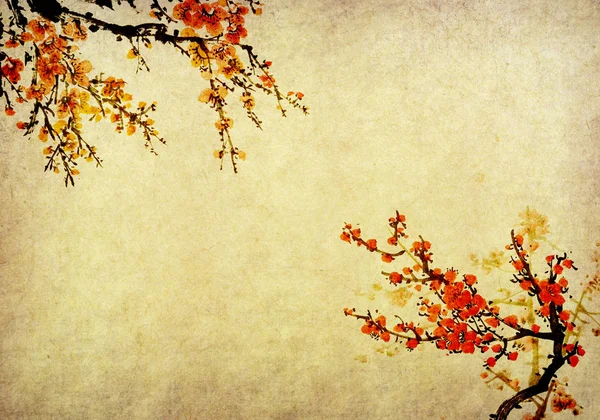 中国绘画的花朵 梅花盛开 — 图库照片