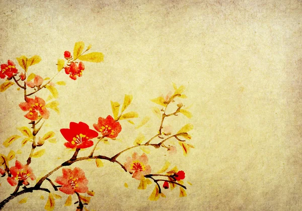 中国绘画的花朵 梅花盛开 — 图库照片