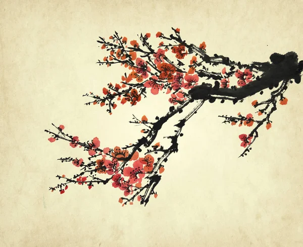 Kínai Festészet Virágai Szilva — Stock Fotó