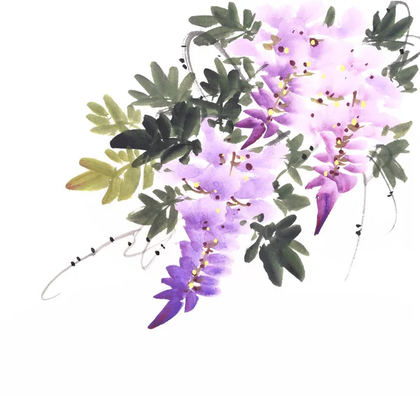 Chinese Watercolor Painting Wisteria — Stock Photo, Image