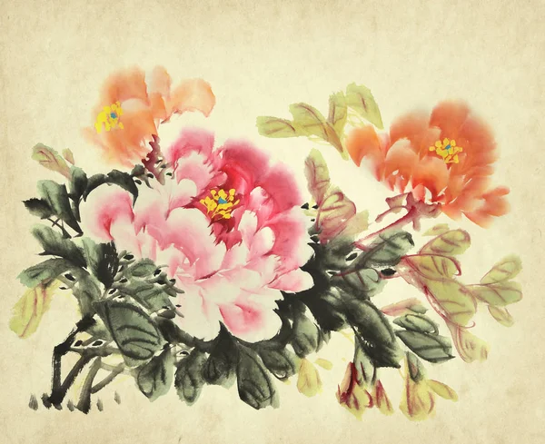 Chinese Painting Peony Flower Traditional Ink Wash Drawing — 스톡 사진