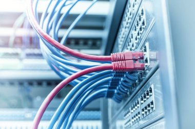 Ağ kabloları ve hub closeup fiber optik arka plan