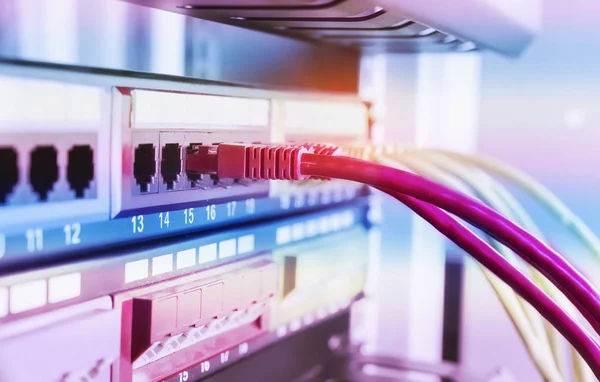 Kabel Ethernet Pada Latar Belakang Switch Jaringan — Stok Foto