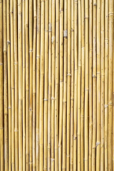 Bambuszaun Gelber Hintergrund — Stockfoto