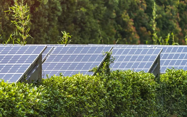 Planta Paneles Solares Renovables Energía Ecológica Con Monumentos Paisajísticos Urbanos — Foto de Stock