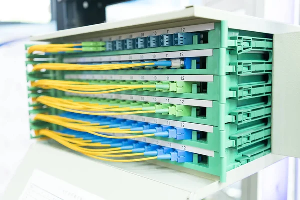 Cable Fibra Óptica Conectarse Comunicación Punto Distribución —  Fotos de Stock