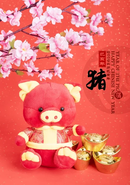 Tradition Cochon Poupée Tissu Chinois 2019 Est Année Cochon Traduction — Photo