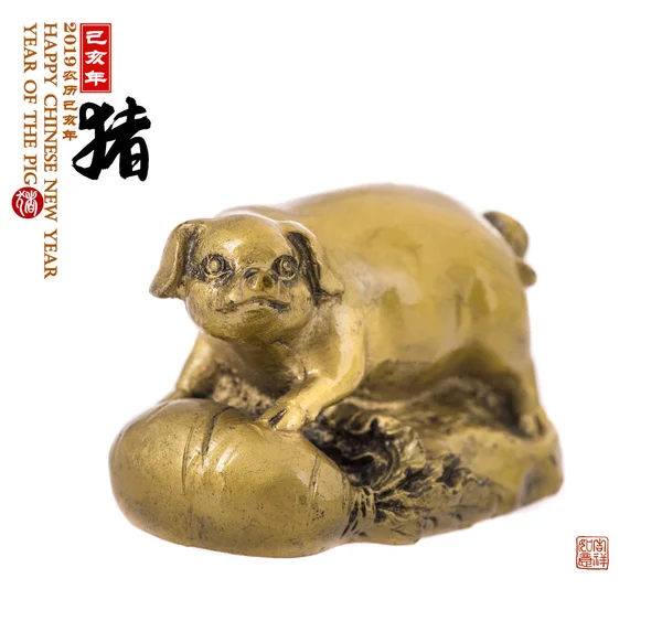 Gold Piggy Bank Chinese Calligraphy Translation Pig Red Stamps Translation — Stock Photo, Image