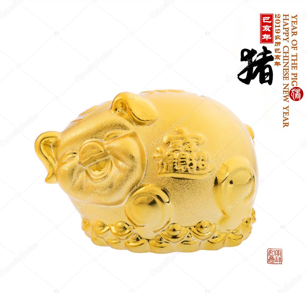 Gold piggy bank,Chinese calligraphy translation: pig.Red stamps translation: Chinese calendar for the year of pig 2019. calligraphy on pig mean good bless for money