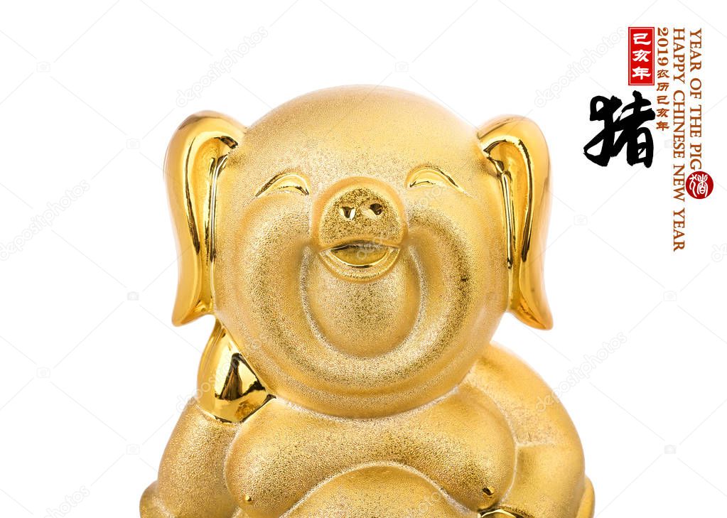 Gold piggy bank,Chinese calligraphy translation: pig.Red stamps translation: Chinese calendar for the year of pig 2019. calligraphy on pig mean good bless for money