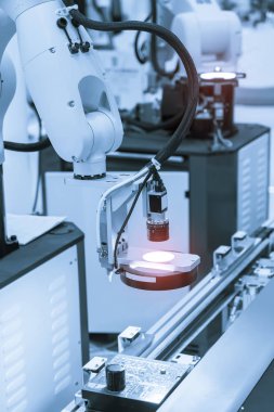 Zenginlik fabrikasındaki robotik görüş sensör kamera sistemi