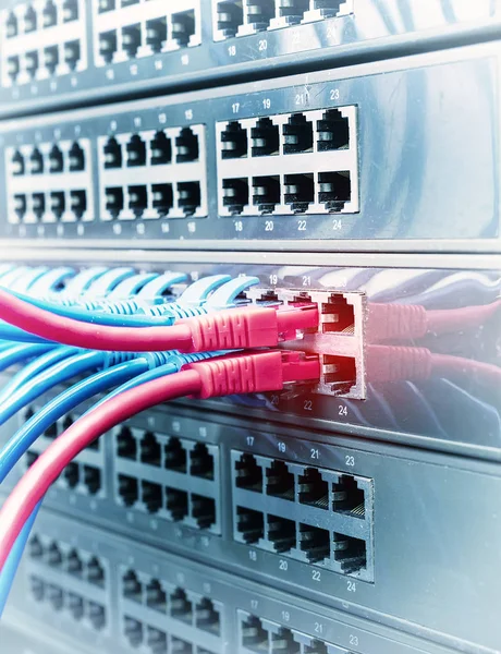 Network Cable Connecting Network Core Switch Close — Stock Photo, Image