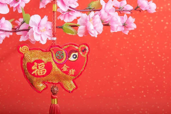 Традиция Китайской Ткани Кукла Свиньи 2019 Год Является Годом Свиньи — стоковое фото